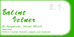 balint velner business card